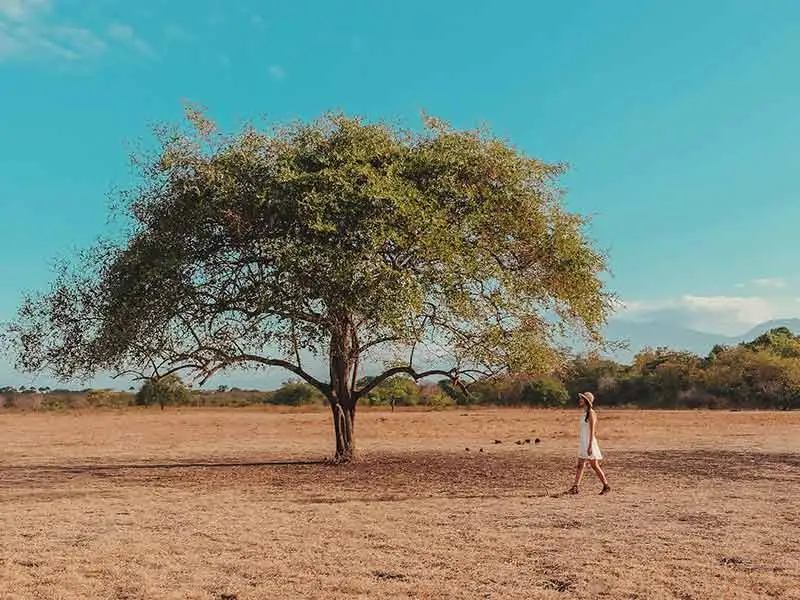 baluran national park
