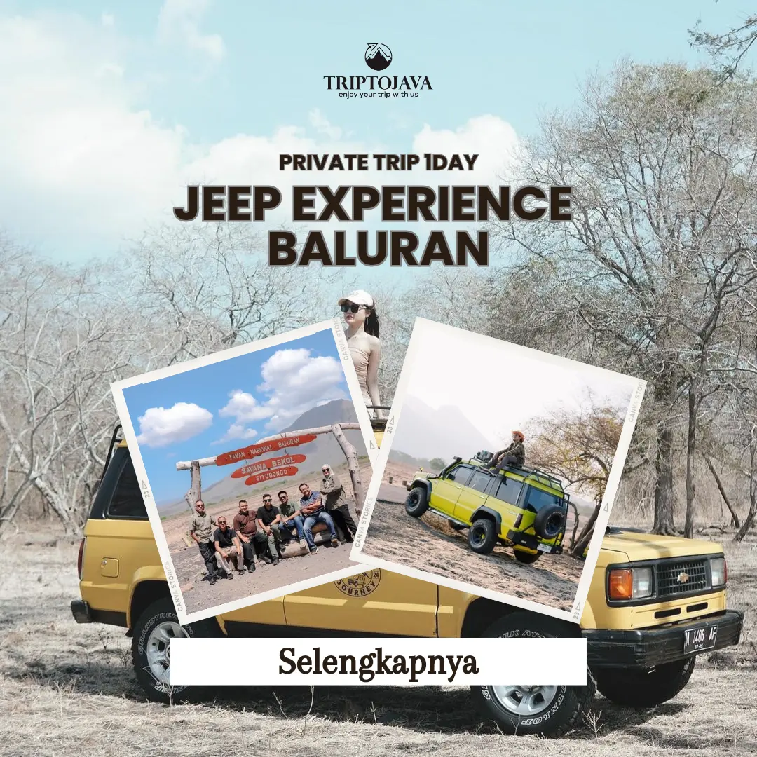 Jeep Experience Baluran