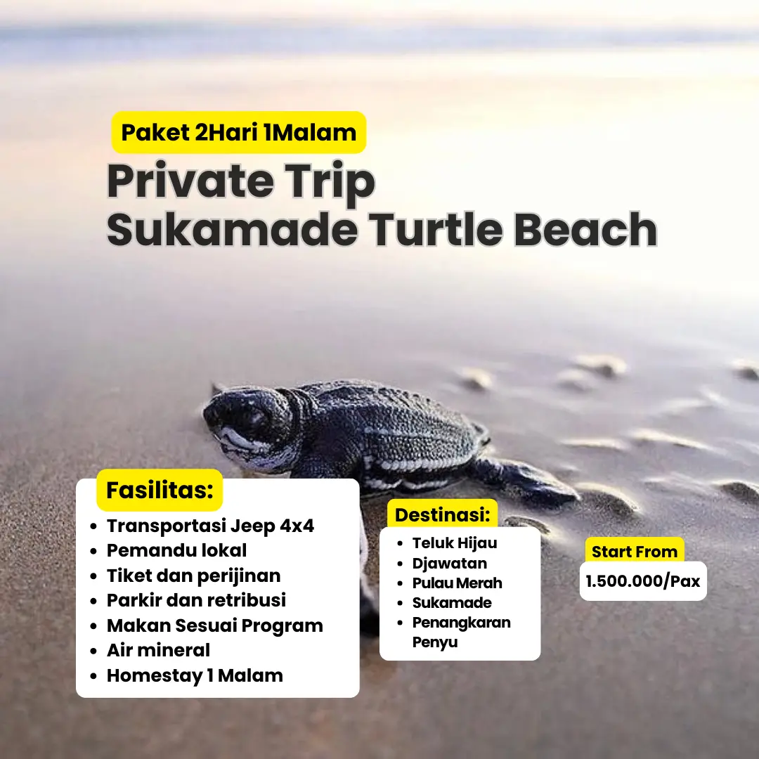 private trip sukamade turtle beach