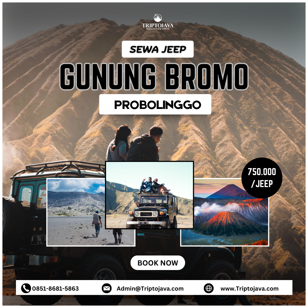 Sewa Jeep Bromo probolinggo